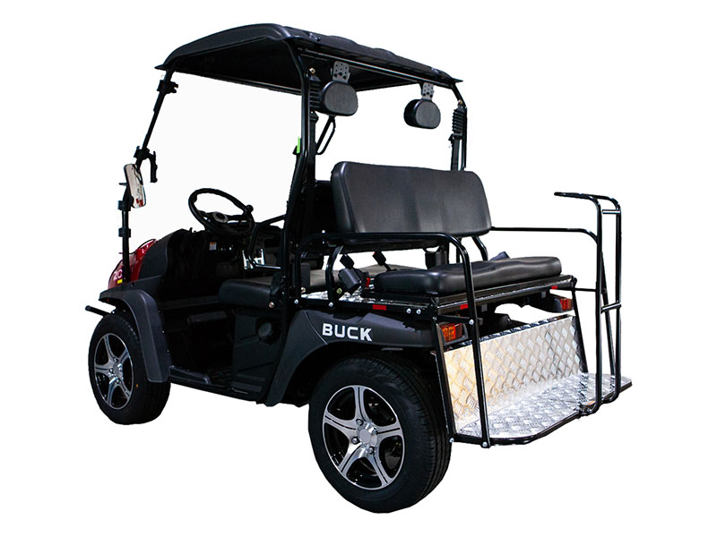 Massimo Buck 200X