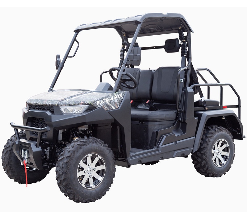 Massimo Buck 450X UTV