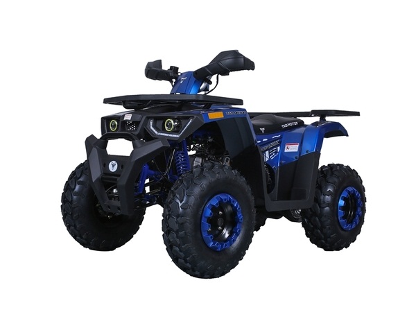 TAOTAO RAPTOR 200 ATV
