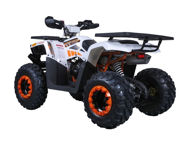 TAOTAO RAPTOR 200 ATV