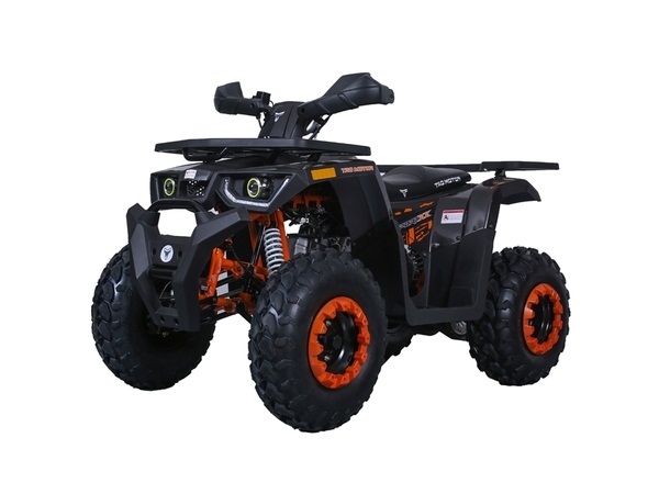 TAOTAO RAPTOR 200 ATV