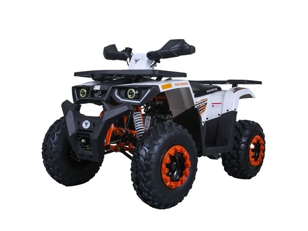 TAOTAO RAPTOR 200 ATV