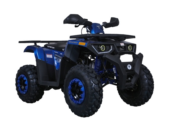 TAOTAO RAPTOR 200 ATV