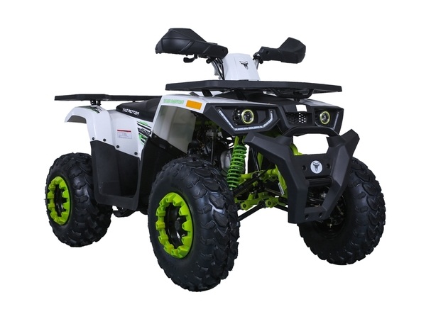 TAOTAO RAPTOR 200 ATV