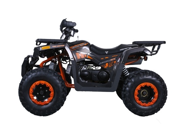 TAOTAO RAPTOR 200 ATV