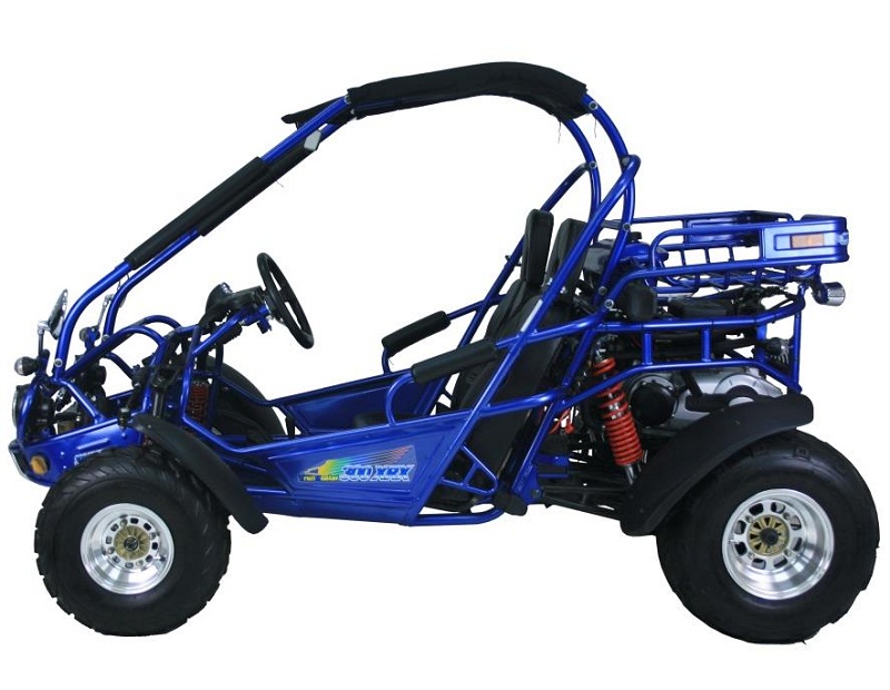 TRAILMASTER 300XRX-E GO KART