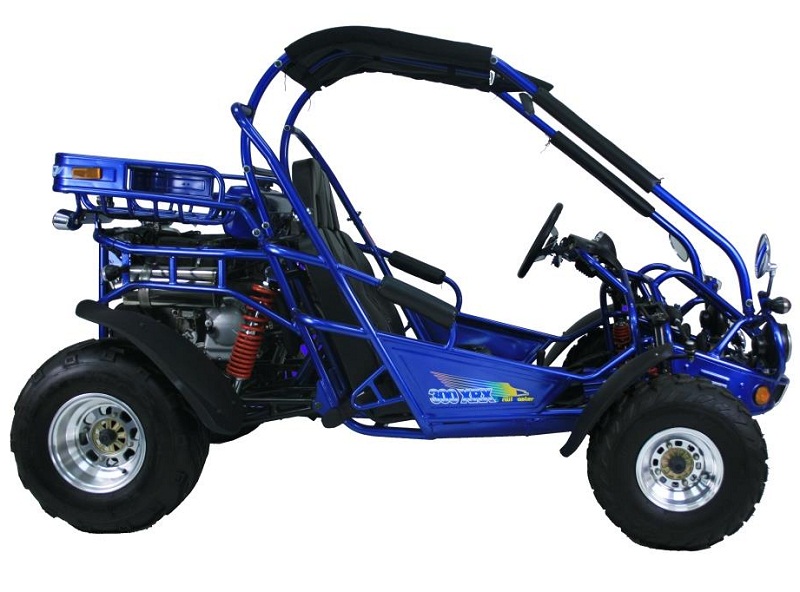 TRAILMASTER 300XRX-E GO KART