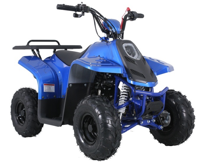 TAOTAO ROCKK 110CC ATV