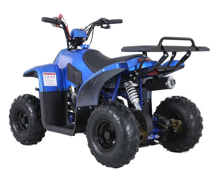 TAOTAO ROCKK 110CC ATV