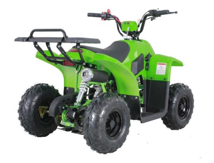 TAOTAO ROCKK 110CC ATV