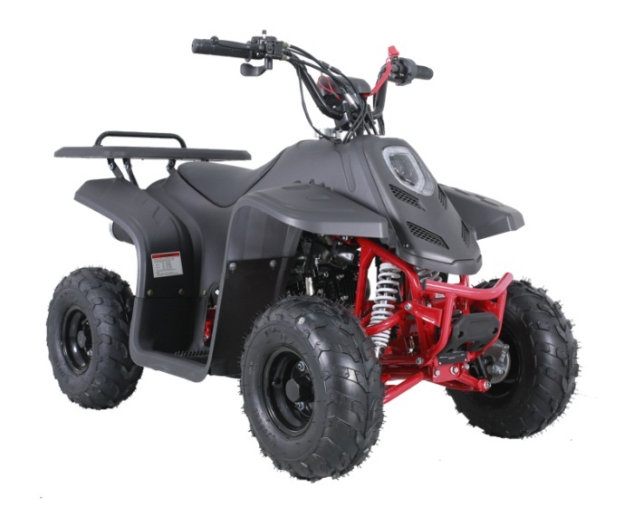 TAOTAO ROCKK 110CC ATV